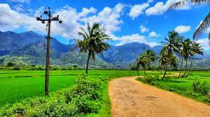 land