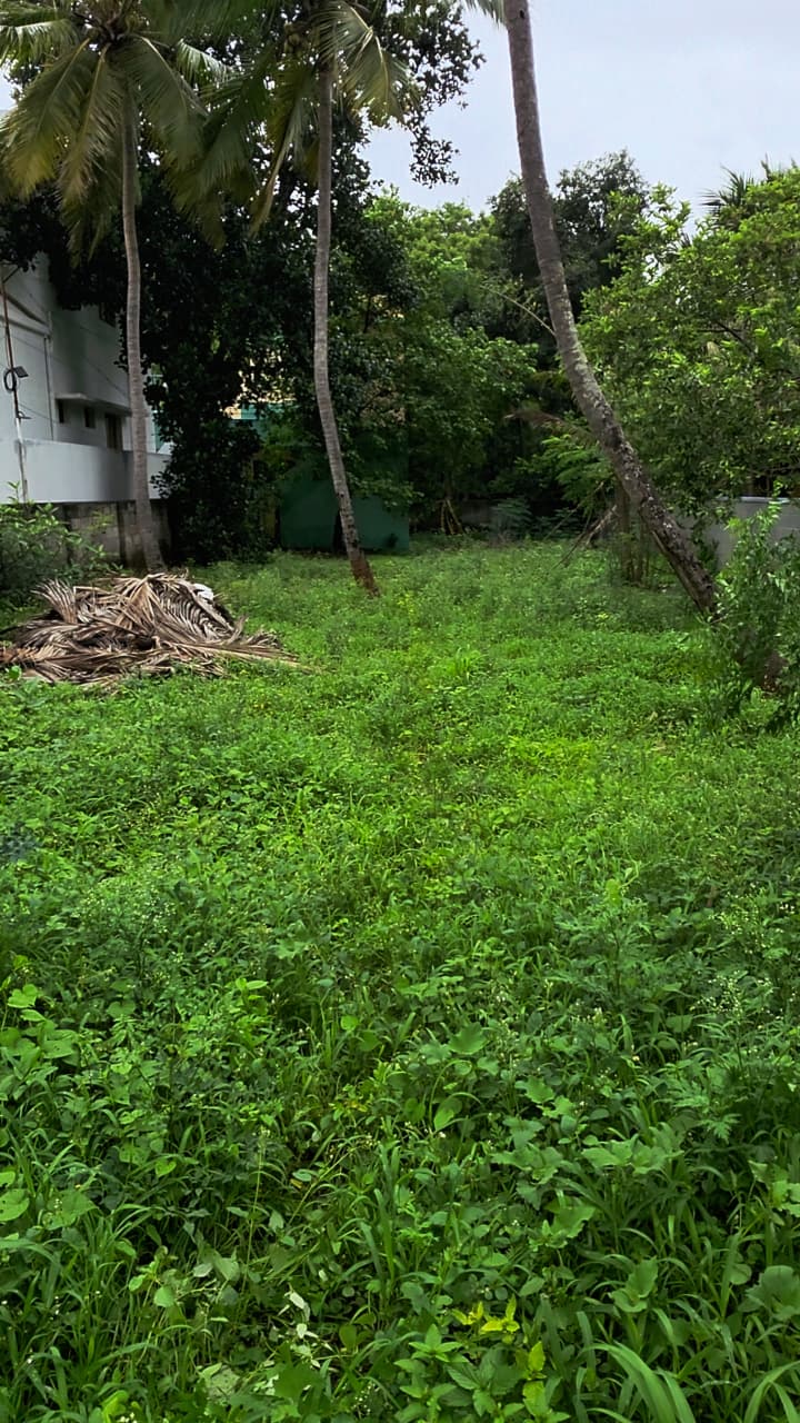 open land